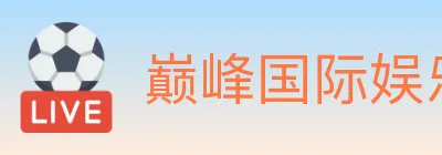 巅峰国际娱乐 logo